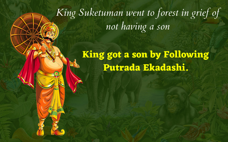 putrada ekadashi - King Suketuman went to forest in grief of not having a son